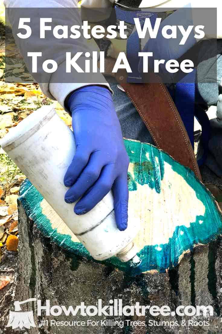 What Kills Trees Quickly, How To Kill a tree fast, Fastest way to kill a tree