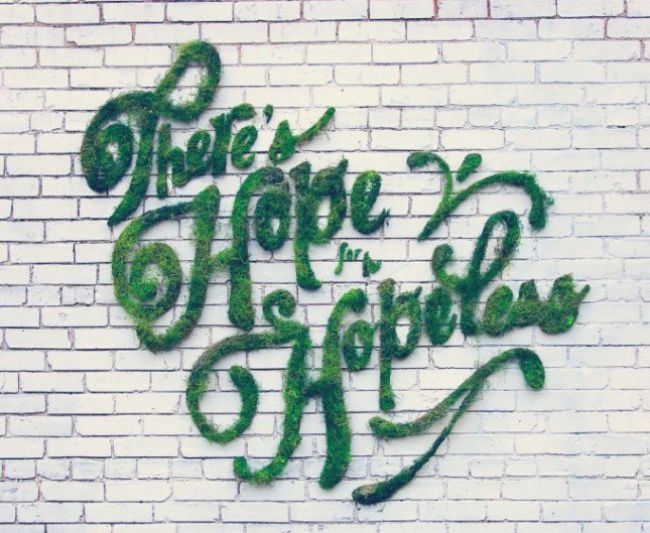 «Живое» эко-граффити из мха, фото № 8
