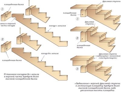 Связаны одним маршем: основные элементы лестниц из дерева 